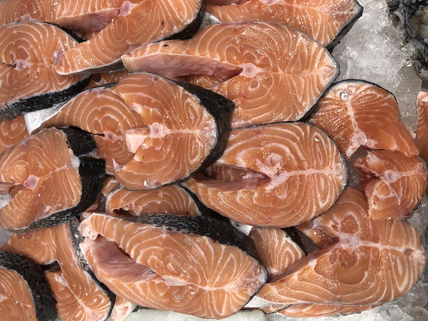 Rodajas de salmón sobre hielo